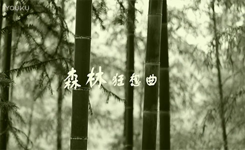 古筝重奏MV《森林狂想曲》